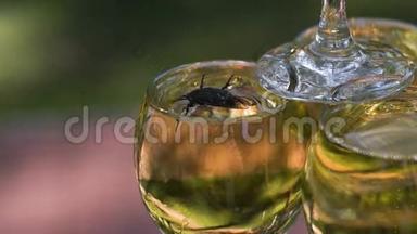 甲虫拿着香槟上了酒杯，想出去。 昆虫<strong>被困住</strong>了，它<strong>被</strong>
