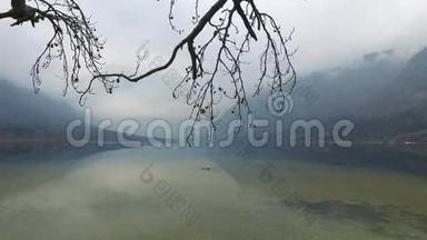 4K. 令人惊叹的博欣吉湖在雾蒙蒙的天气中穿过树木树枝，尽收眼底。 斯洛文尼亚特里格拉夫国家公园朱利安·阿尔