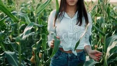 戴着帽子的年轻<strong>农民</strong>女孩，在玉米地上，在阳光下穿过高高的玉米秸秆。 农业<strong>耕作</strong>