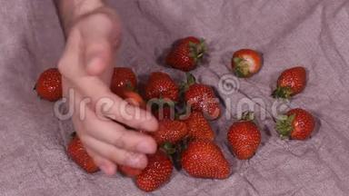 农业农民手在花园土壤中种植一种小型生物草莓植物。 高清高清