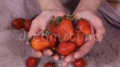 农业农民手在花园土壤中种植一种小型生物草莓植物。 <strong>高清高清</strong>