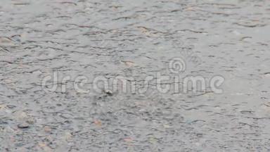 雨中路面上的水坑.. 水滴掉进水里，发散圆圈。 波的干扰.. 四月的雨。 第一次