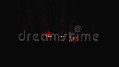 燃烧木材和干草，晚上在树林里生火
