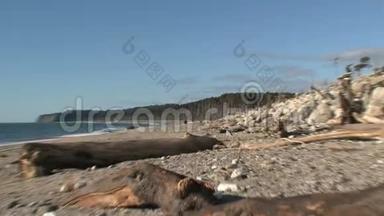新西兰的岩石海滩