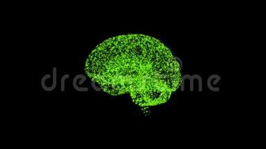 人类智力的概念.. 黑色背景下人脑掉头的抽象绿色模型。