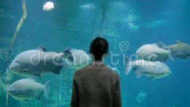 在海洋馆的大型公共鱼缸里看鱼的女人剪影