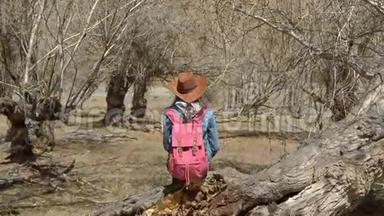 一个戴着宽边帽子的女孩从肩膀后面看出来，坐在一棵弯曲的树上，停了4K。