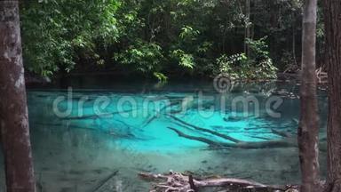 泰国Krabi丛林中的Sra Morakot蓝池