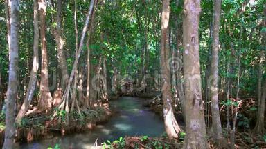 泰国克拉比省翡翠池和红树林Pa Phru Tha Pom Khlong Song Nam