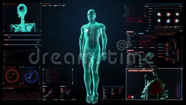 放大人体骨骼结构，骨系统，蓝色X光。在数字仪表板，显示面板。