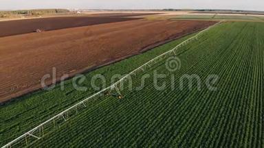 工业农业4K空中视频镜头：夏季<strong>农田</strong>灌溉。 无人机射击，夏季黎明农业