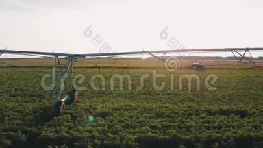 工业农业4K空中视频镜头：夏季<strong>农田</strong>灌溉。 无人机射击，夏季黎明农业
