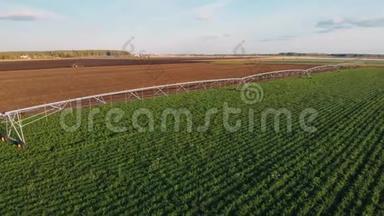 工业农业4K空中视频镜头：<strong>夏季</strong>农田灌溉。 无人机射击，<strong>夏季</strong>黎明农业
