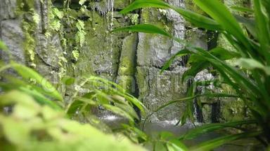 热带雨林中的热带瀑布.. 落和流水落在岩石上，水滴落在水和石头上。