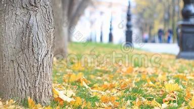 五彩缤纷的小巷在秋天的公园里有路灯，树叶正在飘落。 慢动作