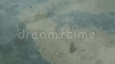 泰国克拉比省拉丁岛海滩小鱼群。 <strong>水晶水晶</strong>透明火花纹理背景