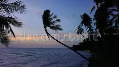 日落时棕榈树的海滨鸟瞰图。 带海景的热带海岸线