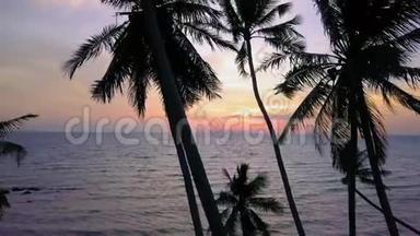 日落时棕榈树的海滨鸟瞰图。 带海景的热带海岸线