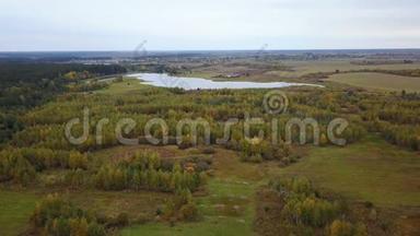 鸟瞰田野，树木覆盖着黄色的树叶和湖背景