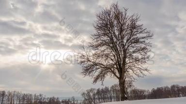 冬天的风景，在孤独的树上，随着阳光的照射，飞云的<strong>时间流逝</strong>。 时光<strong>流逝</strong>。