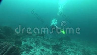 海狮潜水水下<strong>视频加</strong>拉帕戈斯群岛太平洋