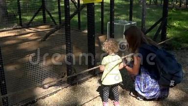 动物园雪貂动物笼子附近的幸福<strong>家庭妇女</strong>和儿童女孩。