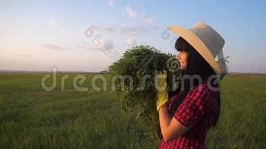 女孩红脖子农夫。农业收获生态农业概念慢镜头。收割庄稼的快乐女孩