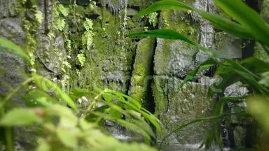 热带雨林中的热带瀑布.. 落和流水落在岩石上，水滴落在水和石头上。