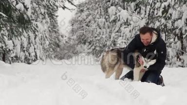 一个男人在森林里拥抱他的西伯利亚哈士奇。 在<strong>雪</strong>地里的背景树上。 眼中的骄<strong>傲</strong>和幸福.. 步行