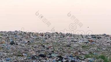 日落时俯瞰巨大的城市垃圾场。 垃圾车卸垃圾