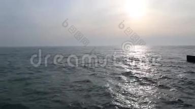 敖德萨，黑海海岸。 太阳，海浪，海鸥.. 空中飞行