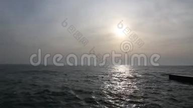 敖德萨，黑海海岸。 太阳，海浪，海鸥.. 空中飞行