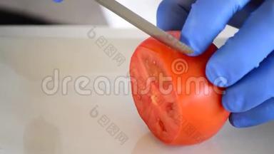 专业厨师将番茄切成薄片和小方块