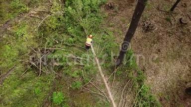 伐木工防护工用电锯在森林中<strong>砍柴</strong>用木材树