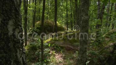 森林中的巨石阵.