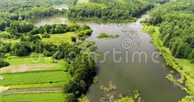 夏季乡村的鸟瞰图.. 飞越一片绿色的田野，一条安静的河流和美丽的绿色森林