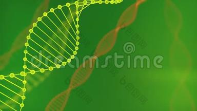 摘要绿光闪烁的<strong>DNA</strong>双<strong>螺旋</strong>与景深。基于debrises三维绘制的<strong>DNA</strong>构建动画