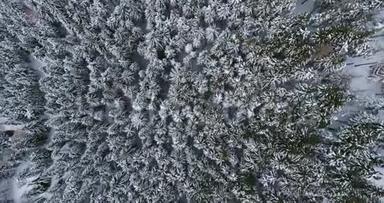 俯视高空俯视高山<strong>积雪覆盖</strong>松林树林。 冬季户外自然景观