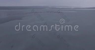 一个巨大的冰冻湖，空中摄影，鸟儿飞过开阔的湖区