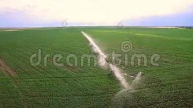 工业农业。 空中视频镜头：夏季欧洲莴苣的<strong>灌溉</strong>。 <strong>灌溉</strong>和<strong>灌溉</strong>
