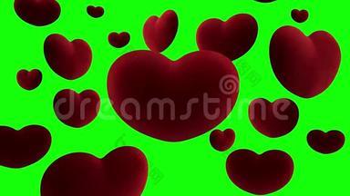 红色的天鹅绒心挂在空气中，围绕着绿色背景上的一颗大心脏。 视频循环