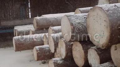 锯木厂有编号标记的木材原木堆上的<strong>木屑</strong>