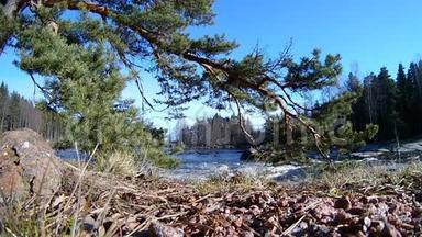 芬兰基米的<strong>自然景观</strong>，沿海森林的快速<strong>河流</strong>水运动。