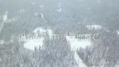 雪覆盖针叶林的俯视图.. 剪辑。 冬季白雪覆盖森林的俯视图