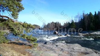 芬兰基米的自然景观，沿海森林的快速河流水运动。