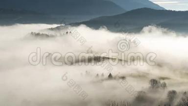 秋天的早晨，雾蒙蒙的羊群从薄雾中消失