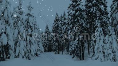 <strong>冬天</strong>的雪林里有雪覆盖的树，下着雪和星星。 圣诞节，新年慢动作<strong>动画</strong>，高清1080..