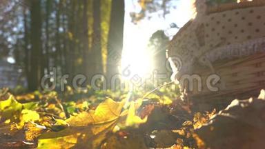 秋季落叶在阳光和野餐篮下的超级慢镜头