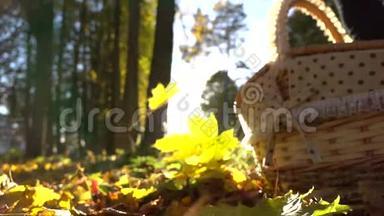 落下来的黄叶衬着闪亮的太阳和篮子。 晴朗的秋日。 超级慢动作镜头