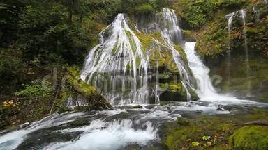 高清电影，令人印象深刻的黑豹溪瀑布与下降水音频音响在华盛顿州1080p高清